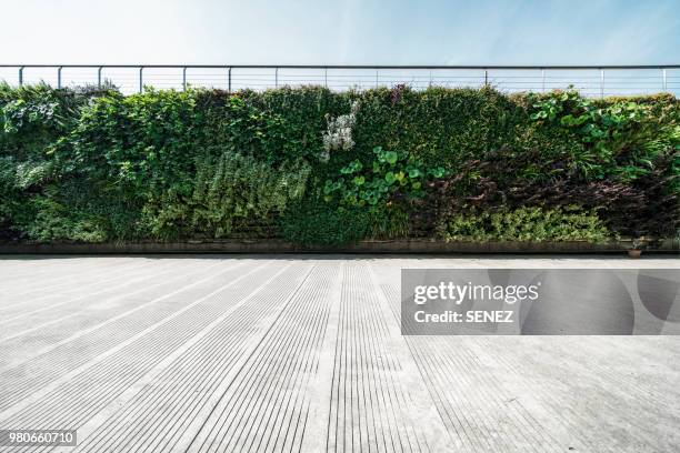 wall decorated with the plants - modern fern garden stock pictures, royalty-free photos & images