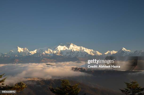 mount kanchenjunga in the himalayas, nepal. - west bengal stock pictures, royalty-free photos & images