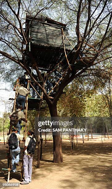 Indian youths from the Siddi community from the Sasan Gir region of Gujarat state climb up a tree house during a field session as part of an Eco...