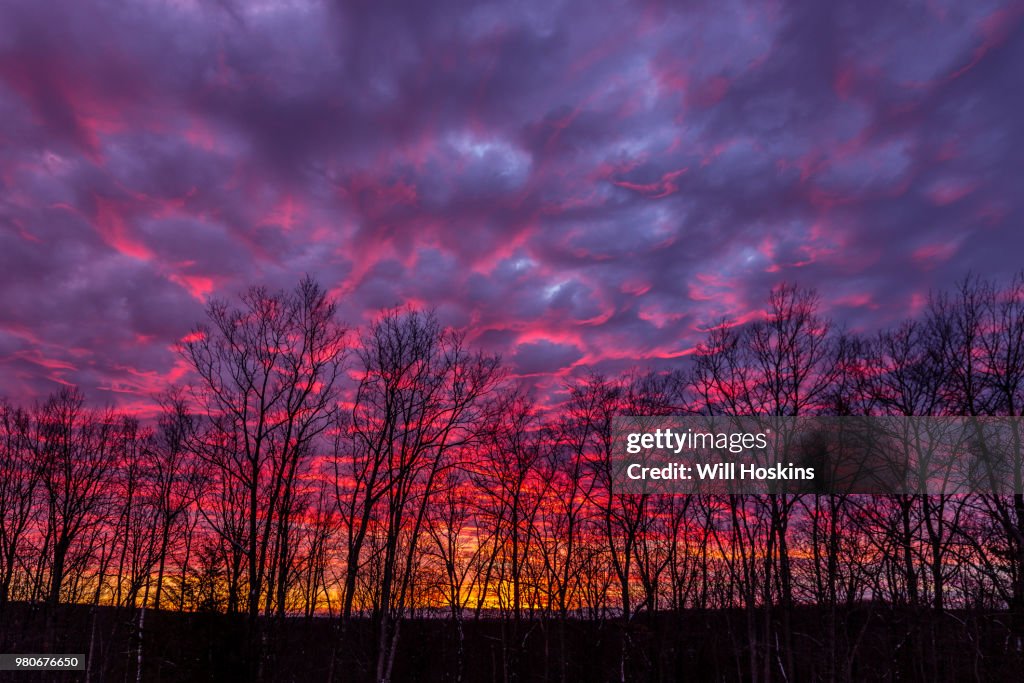 Fire in the Sky