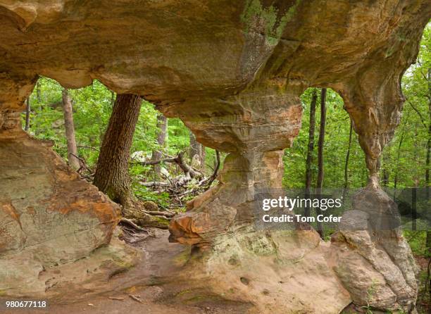 double arch rock formation 4 - double arch foto e immagini stock