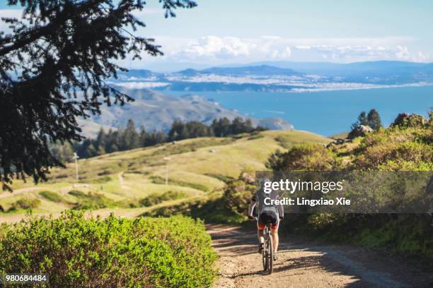 cyclist biking on bolinas ridge with ocean view, mt tamalpais, california - noordelijk californië stockfoto's en -beelden