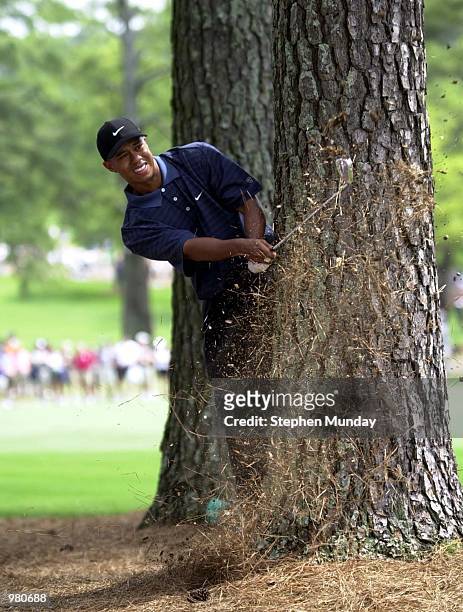 Tiger Woods of the USA plays his second shot from behind a tree on the 3rd hole during the third day of the 2001 Masters at the Augusta National Golf...