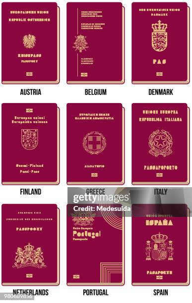 ilustrações, clipart, desenhos animados e ícones de ícone de vetor de passaporte - cidadania