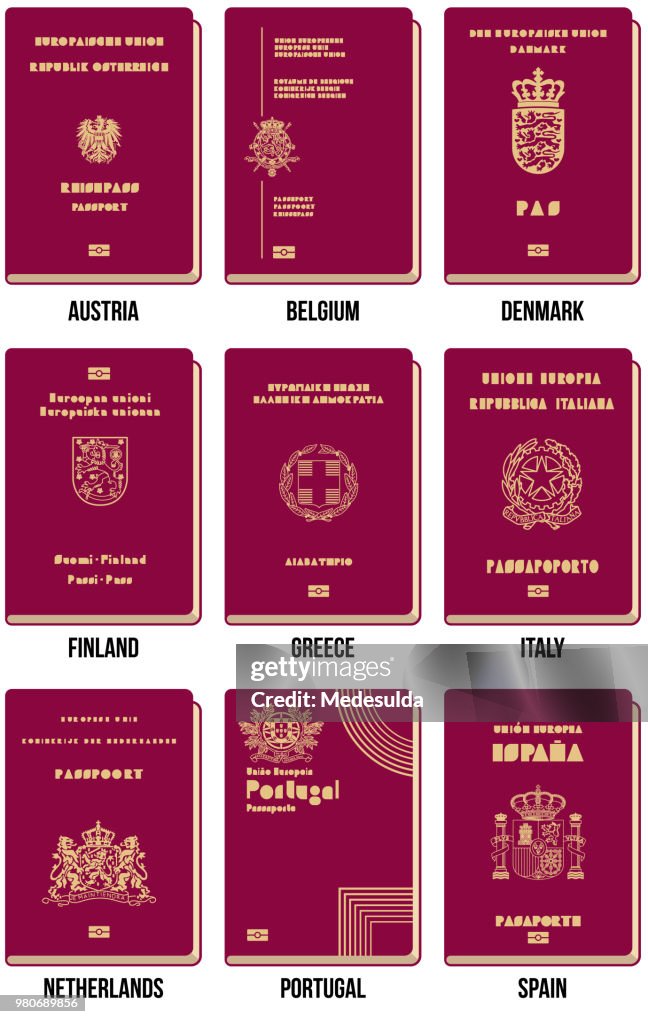 Passport Vector Icon