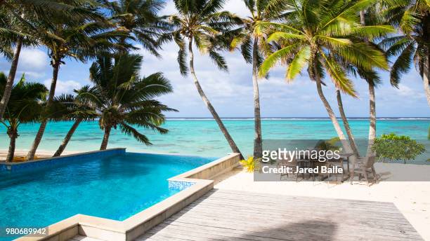 little polynesian resort - balle stock pictures, royalty-free photos & images