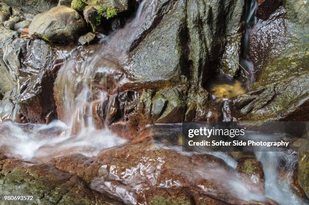 El Yunque Rocks Color 72 El Yunque Waterfalls Stock Photos, High-Res Pictures, and Images ...