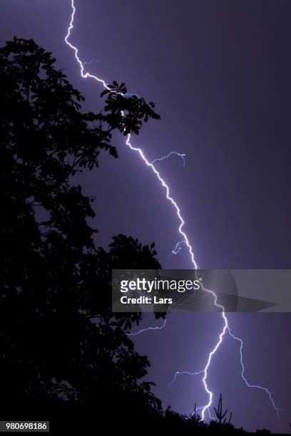 lightning - forked lightning stock pictures, royalty-free photos & images