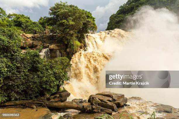 Zongo 56 Zongo Democratic Republic Of The Congo Stock Photos, High-Res ...