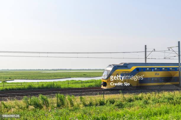 trein van de nederlandse spoorwegen ns rijden door het natuurgebied oostvaardersplassen - oostvaardersplassen stockfoto's en -beelden