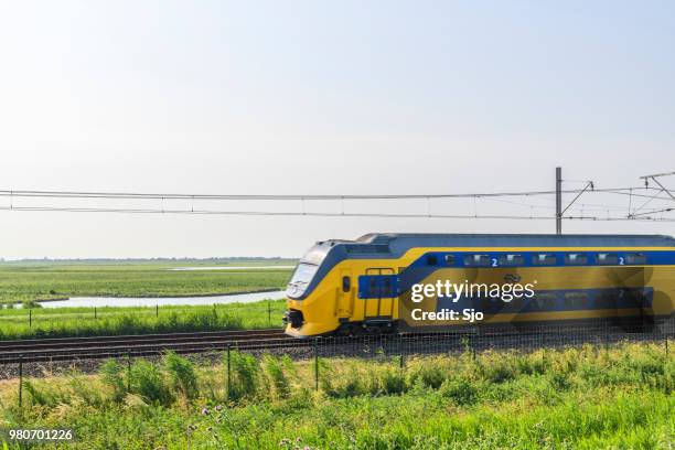 trein van de nederlandse spoorwegen ns rijden door het natuurgebied oostvaardersplassen - oostvaardersplassen stockfoto's en -beelden