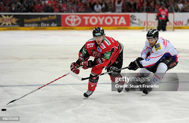 Kevin Hecquefeuille of Cologne challenges for the puck with Tyler Bouck of Ingolstadt during the DEL playoff match between Koelner Haie and ERC...