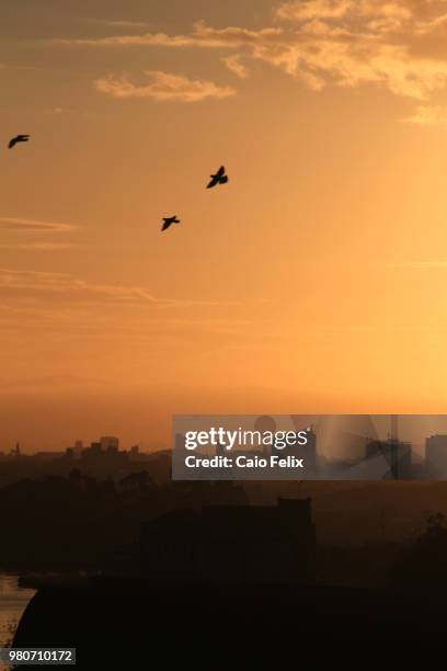 amanhecer em porto alegre - amanhecer foto e immagini stock