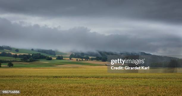 moody sky over cut grass in field, vallorbe, canton of vaud, switzerland - vaud canton stockfoto's en -beelden