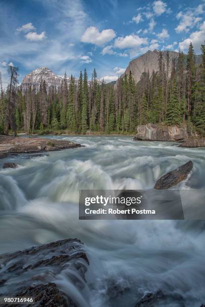 Kicking Rocks Stock Image Kicking Rocks Photos and Premium High Res Pictures - Getty Images