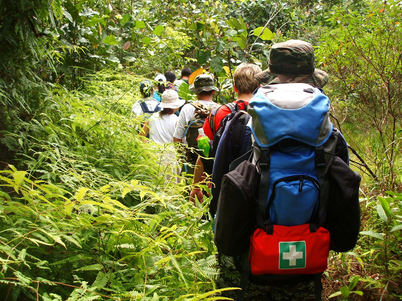 jungle hike