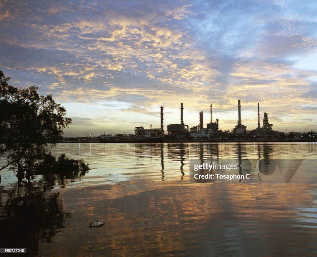 Oli Plant with Mamiya RB67 + Portra400