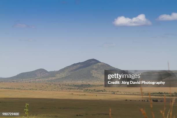 masai mara - kenia - kenia bildbanksfoton och bilder