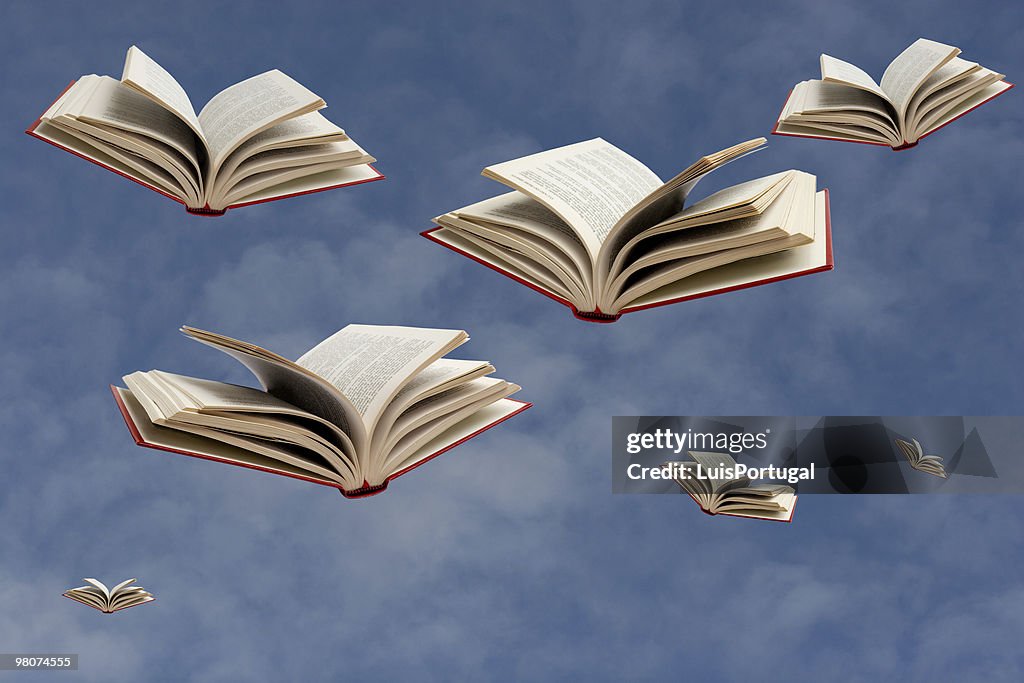 Flying Books