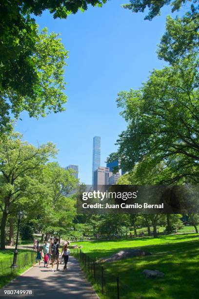 people enjoying a sunny summer da y at central park in manhattan, new york - 432 park avenue stock pictures, royalty-free photos & images