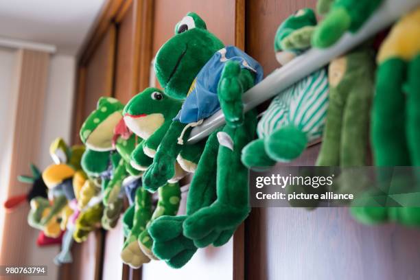 March 2018, Germany, Schierke: Weather frogs are attached to a wall in a weather station in the Harz region. Photo: Swen Pförtner/dpa