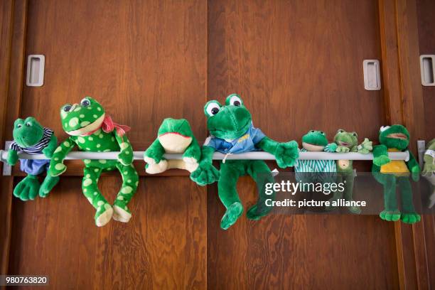 March 2018, Germany, Schierke: Weather frogs are attached to a wall in a weather station in the Harz region. Photo: Swen Pförtner/dpa