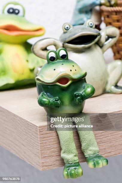 March 2018, Germany, Schierke: A weather frog sits on a shelf in a weather station in the Harz region. Photo: Swen Pförtner/dpa