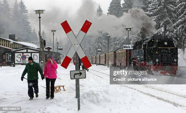 March 2018, Germany, Schierke: A train of the Harzer Schmalspurbahn narrow gauge railway in the snow at Schierke station. The HSB cancelled the train...