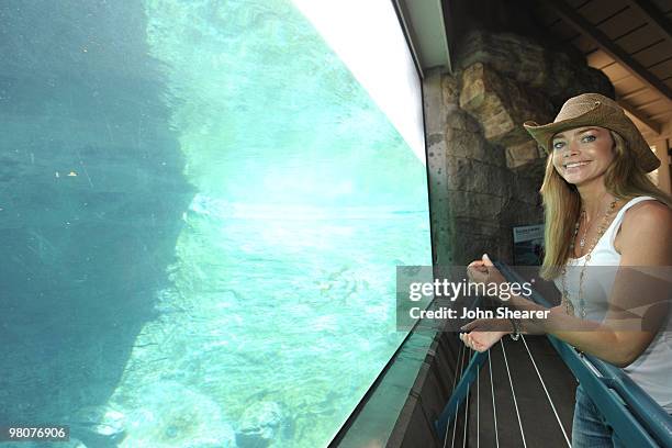 Actress Denise Richards attends the launch of the Polar Bear Plunge at the World Famous San Diego Zoo on March 26, 2010 in San Diego, California.