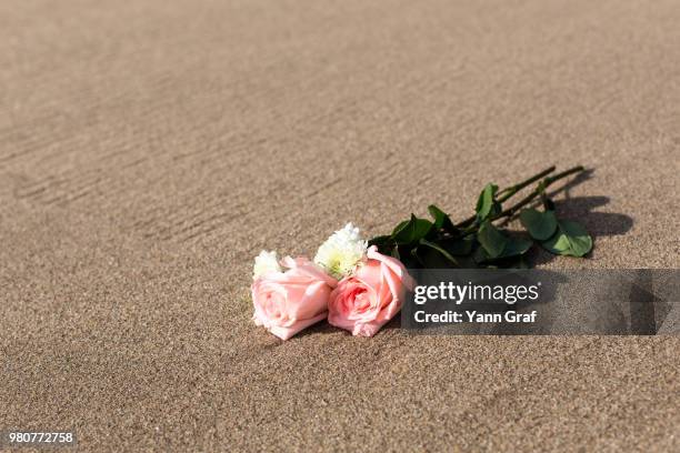 Sand Rosa Sand Rose Photos and Premium High Res Pictures - Getty Images