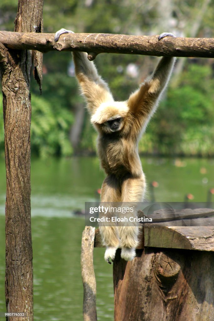 Photo by: Eloah Cristina