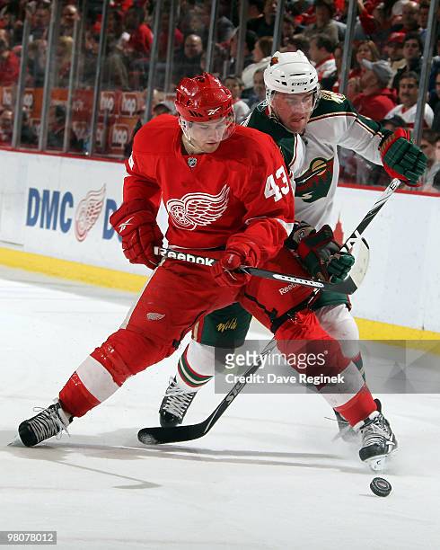 Darren Helm of the Detroit Red Wings and Marek Zidlicky of the Minnesota Wild battle for the loose puck during an NHL game at Joe Louis Arena on...