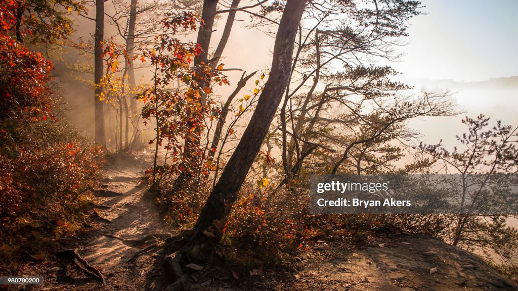 Autumn Colors at Conkle's Hollow