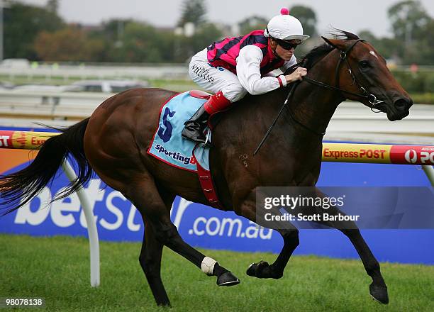 Jockey Craig Williams rides Avionics to win the No Fuss Solutions Handicap race on Throughbred Club Cup Day at Caulfield Racecourse on March 27, 2010...