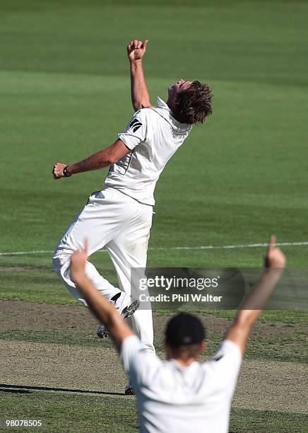 Tim Southee of New Zealand celebrates his caught and bowled wicket of Brad Haddin of Australia during day one of the Second Test match between New...