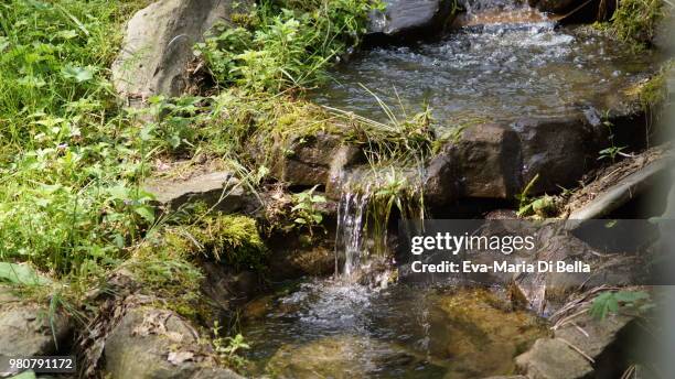 wasser - ursprung allen seins (an der lenne, sauerland) - ursprung stockfoto's en -beelden