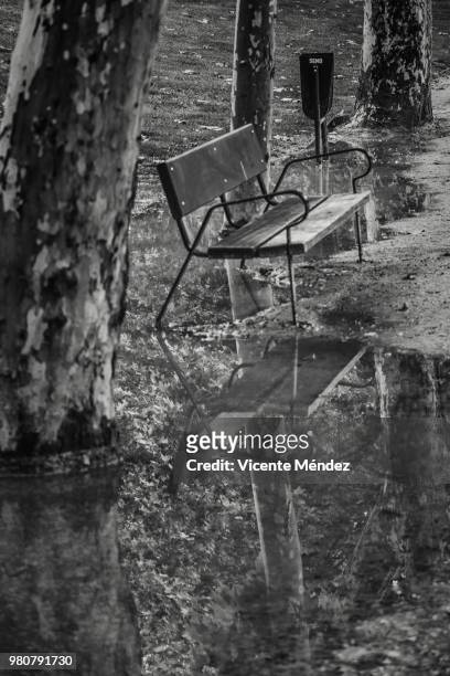 reflection of a bench in a puddle - vicente méndez fotografías e imágenes de stock
