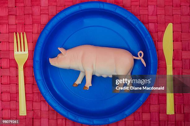 a plastic pig on a plate - plastic plate fotografías e imágenes de stock