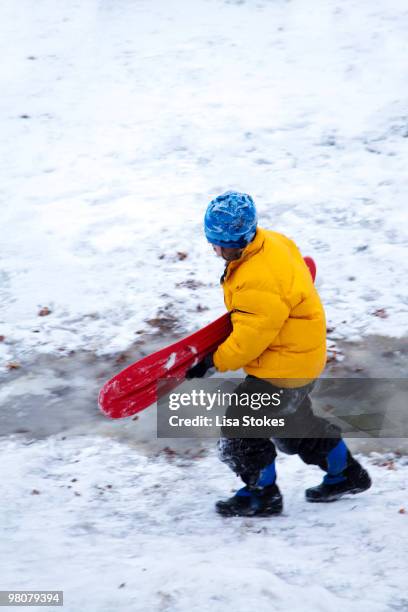 playing in the snow - lisa stokes stock pictures, royalty-free photos & images