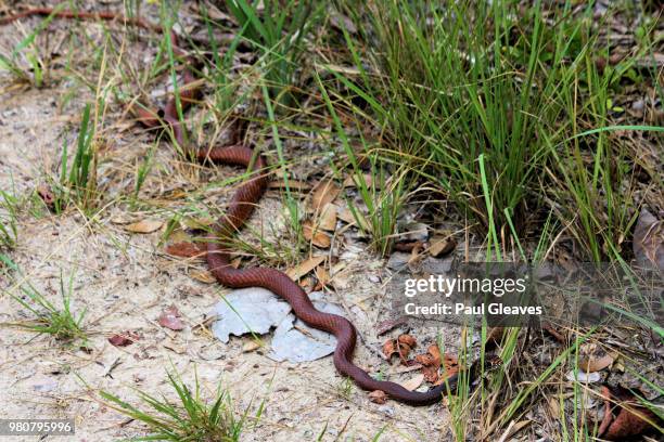 A High-Res Stock Photo