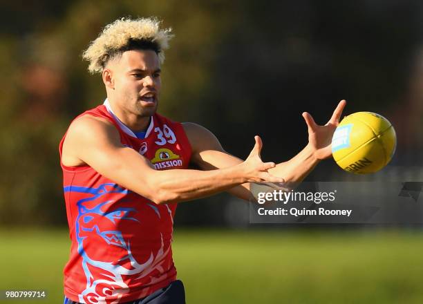 Jason Johannisen of the Bulldogs marks during a Western Bulldogs AFL training session at Whitten Oval on June 22, 2018 in Melbourne, Australia.