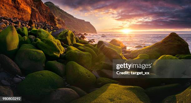 Waiting Rocks 1,683 Target Rocks Stock Photos, High-Res Pictures, and Images - Getty ...