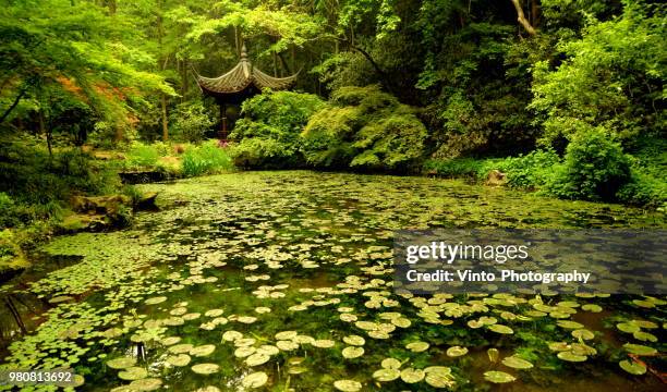 Spring In Hangzhou Vinto Photos and Premium High Res Pictures - Getty Images