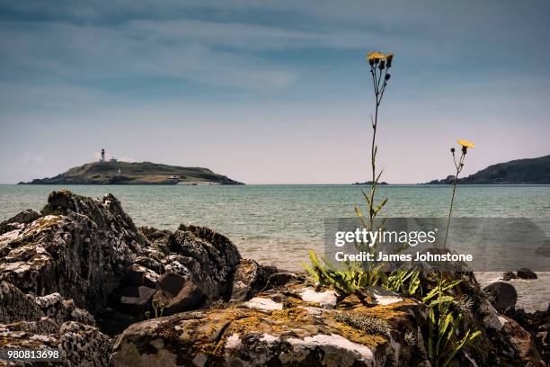 seascape with little ross island and lighthouse, kirkcudbright, dumfries and galloway, scotland, uk - dumfries and galloway 個照片及圖片檔