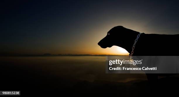 il guardiano delle alpi (v2) - alpi stockfoto's en -beelden