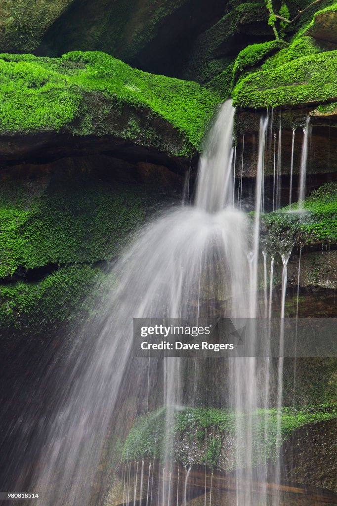 Blackwater falls, West Virginia, USA