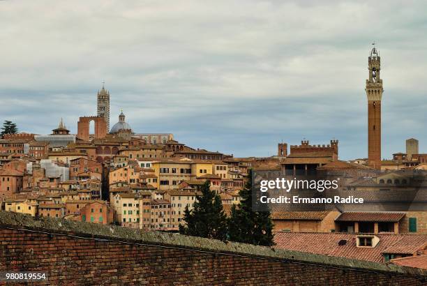 another view of siena - radice stock-fotos und bilder