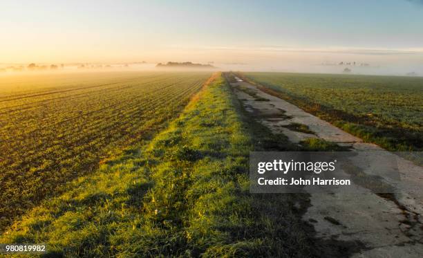 into the mist - john harrison stock pictures, royalty-free photos & images