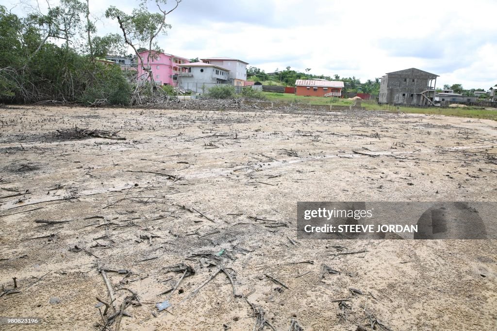 GABON-ENVIRONMENT-URBAN-PLANNING-MANGROVES