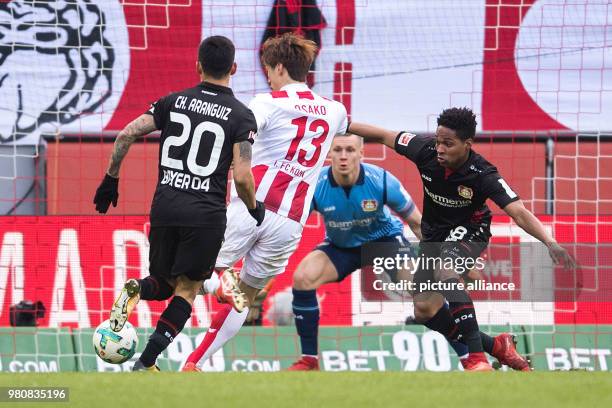 March 2018, Germany, Cologne: Football, Bundesliga, 1. FC Cologne vs Bayer Leverkusen at the RheinEnergieStadion. Cologne's Yuya Osako scores against...